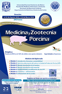 Pollo de engorda