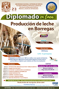 Pollo de engorda