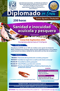 Pollo de engorda